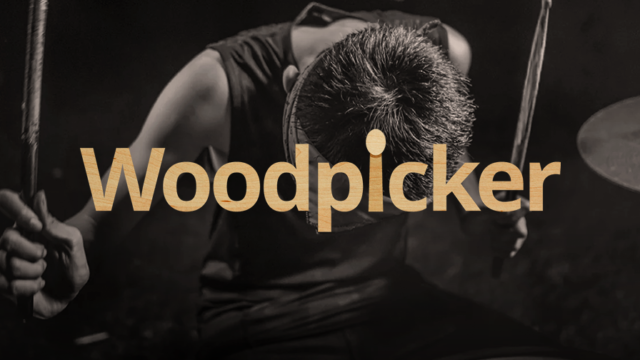 woodpicker